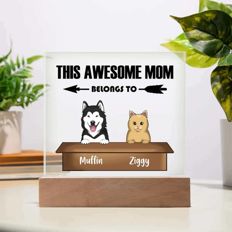 This Awesome Mom Belongs To Acrylic Square Plaque