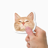 Custom Cat Face Magnets