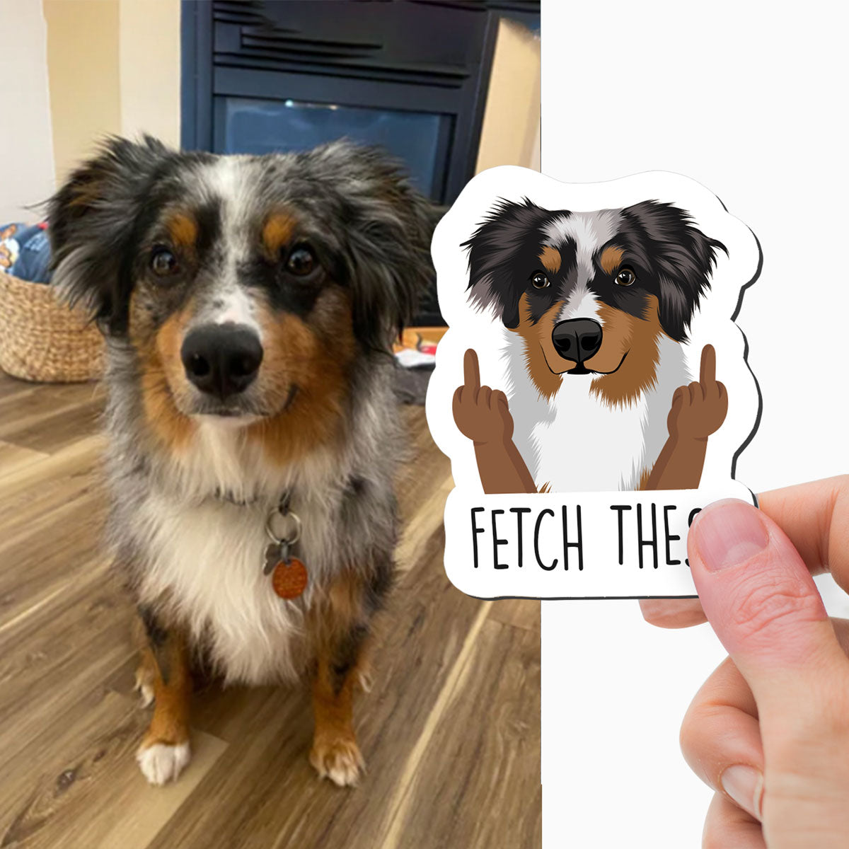 Custom Funny "Fetch These" Dog Magnets